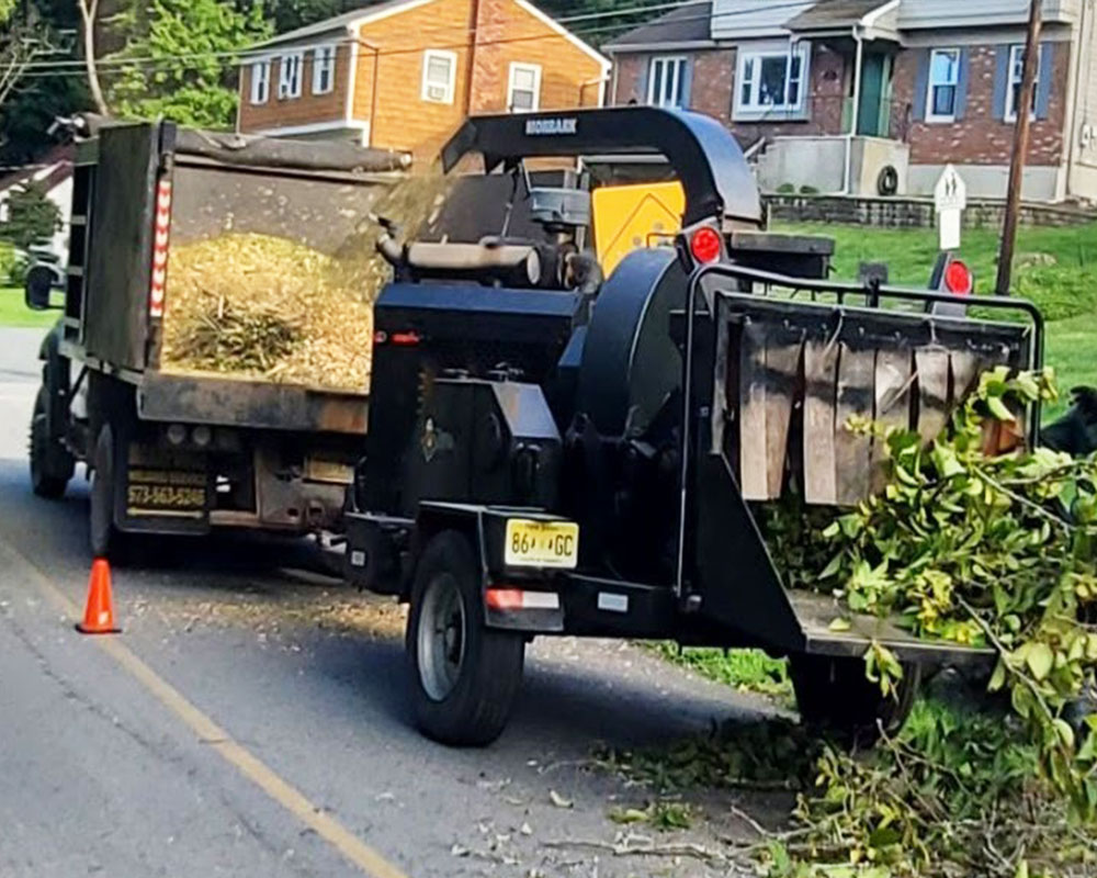 Land-clearing-service-in-Sussex-NJ Land clearing service in Sussex NJ
